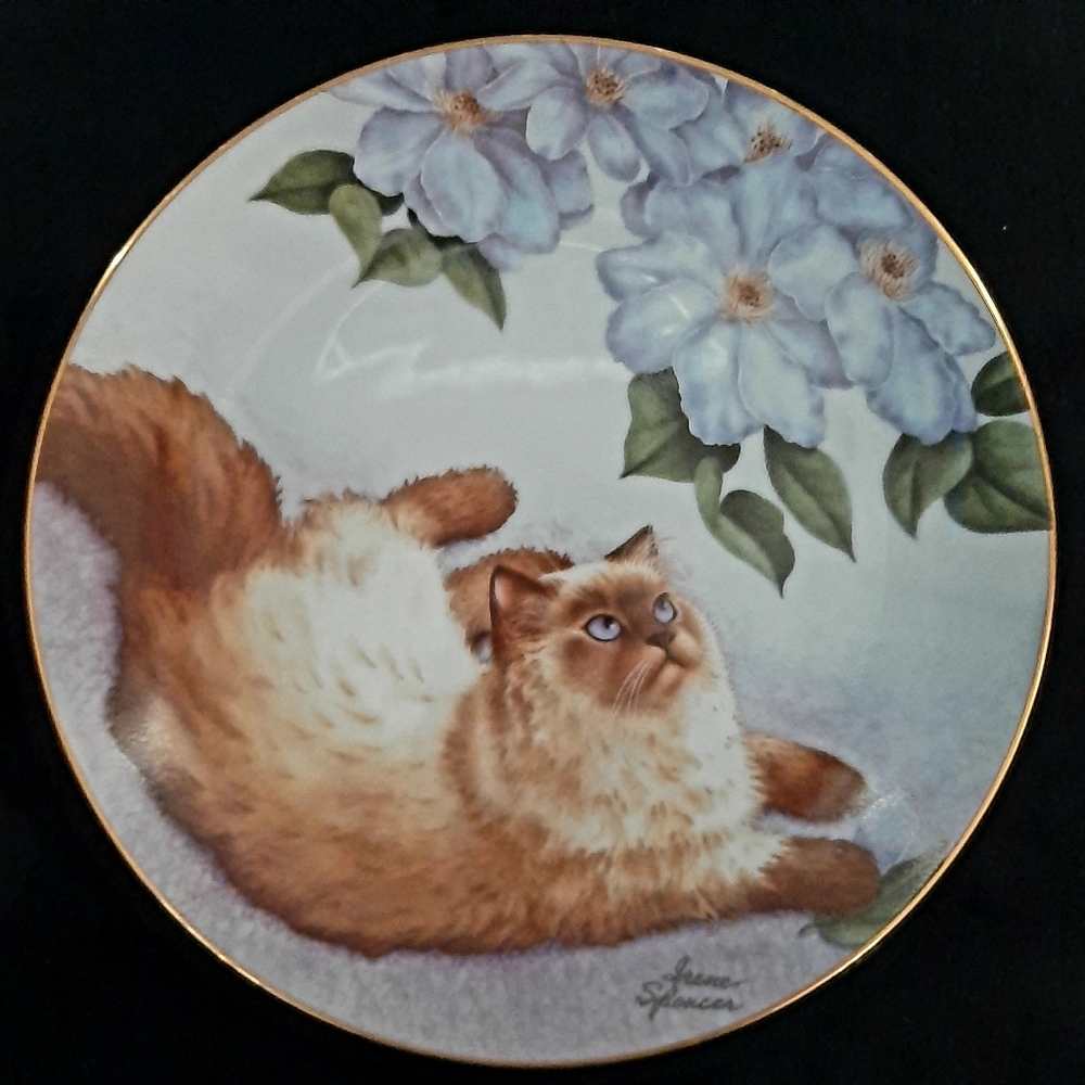 Collectable Plate "Birds Eye View"